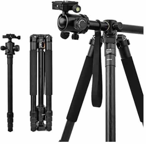 Abithid tripod